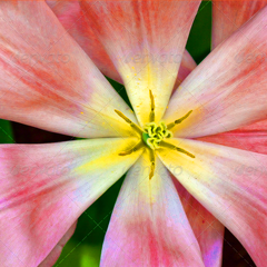 免费ddos平台攻击