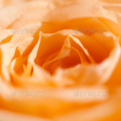 在线DDOS攻击平台