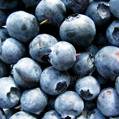 智能省电节能的ddos网页端