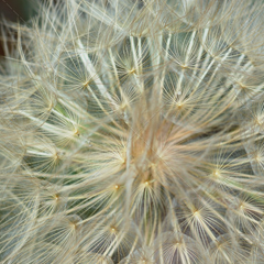 在线DDOS压力测试网页端